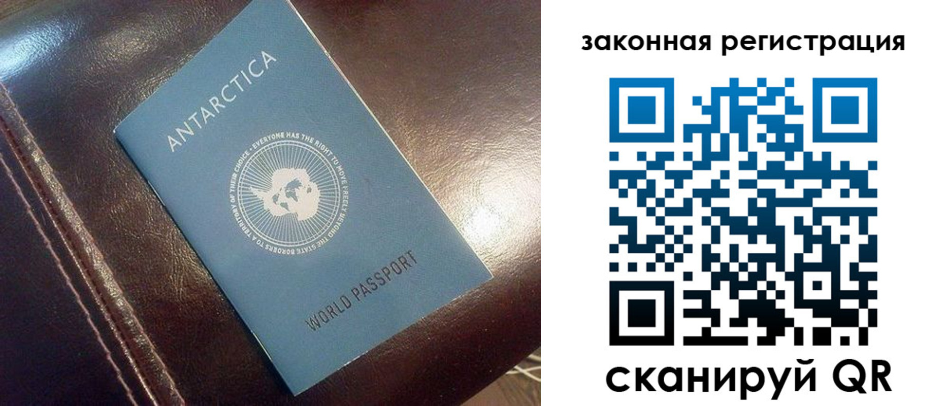 временная регистрация поиск в Смоленской области